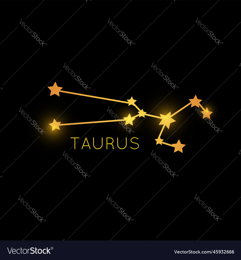 Taurus Golden Zodiac Constellation Gold Stars Vector Image