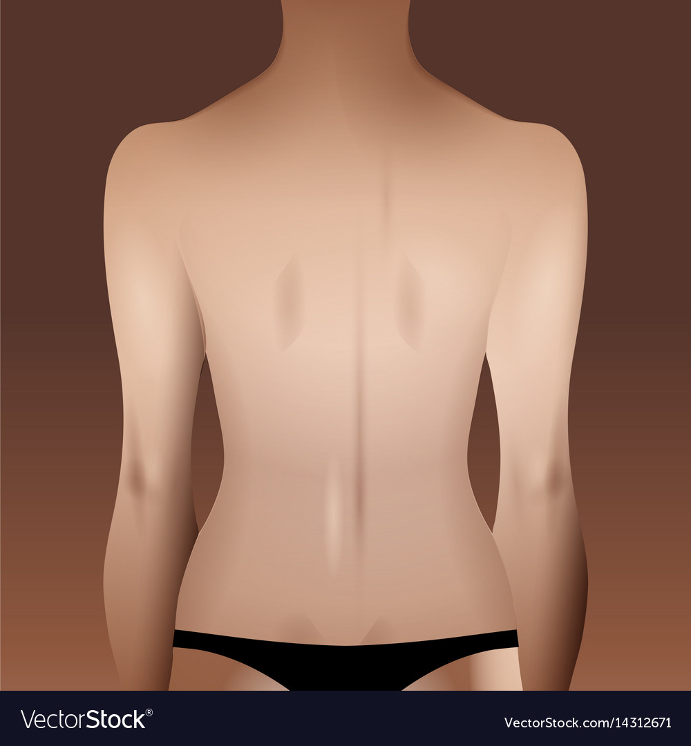 Human Body Template  Female by MyraethCorax on deviantART  Body template Body  outline Human body drawing