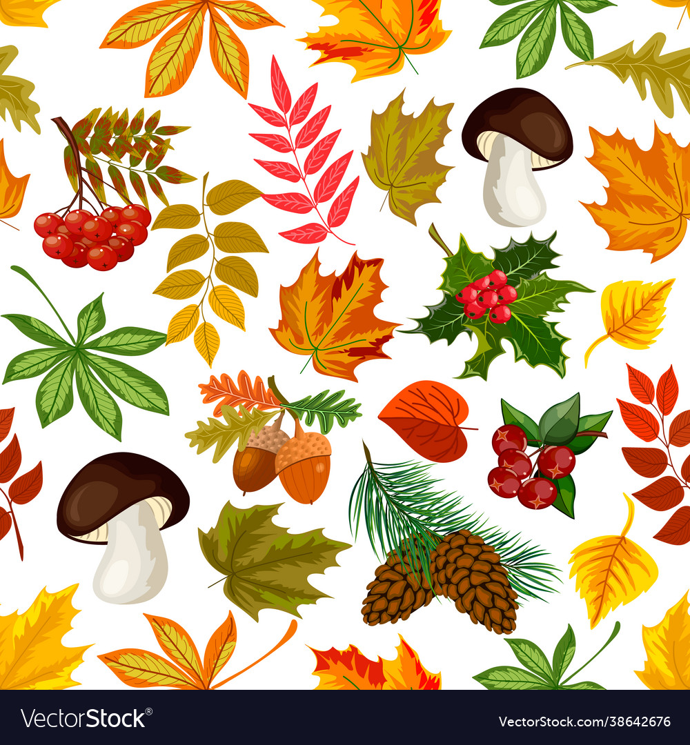 Autumn leaves in a colored pattern Royalty Free Vector Image