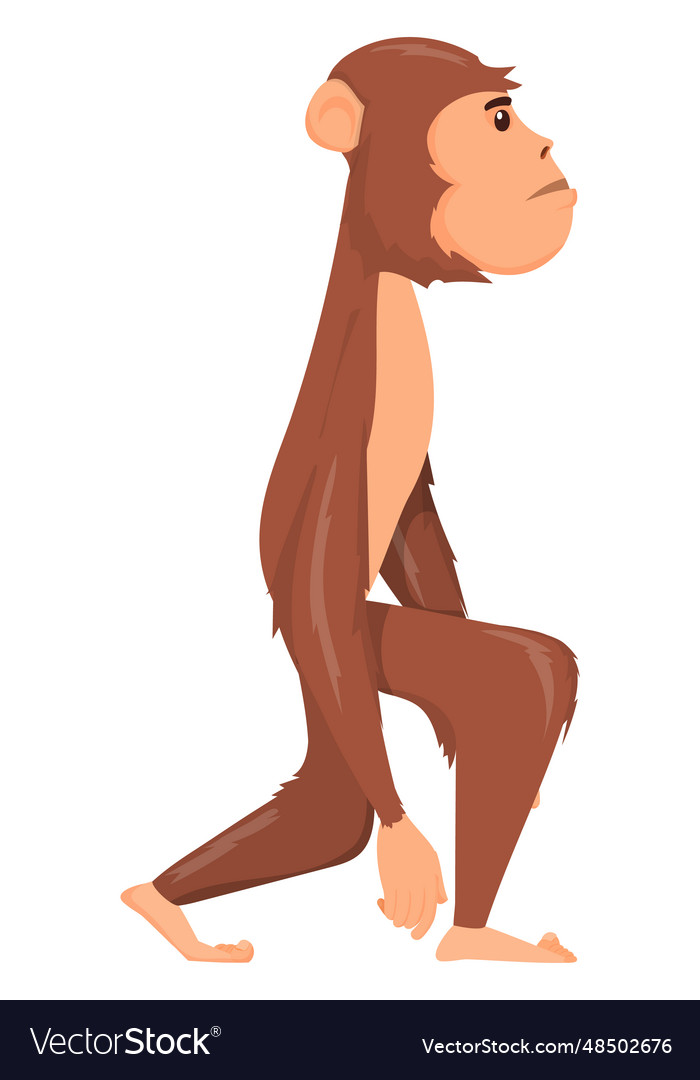 Prehistoric primate human extinct species Vector Image