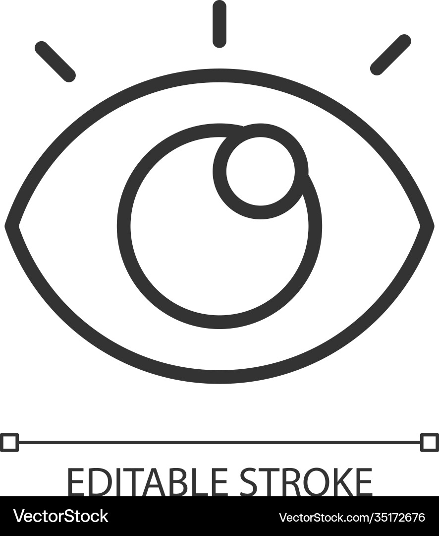 Viewing pixel perfect linear icon Royalty Free Vector Image