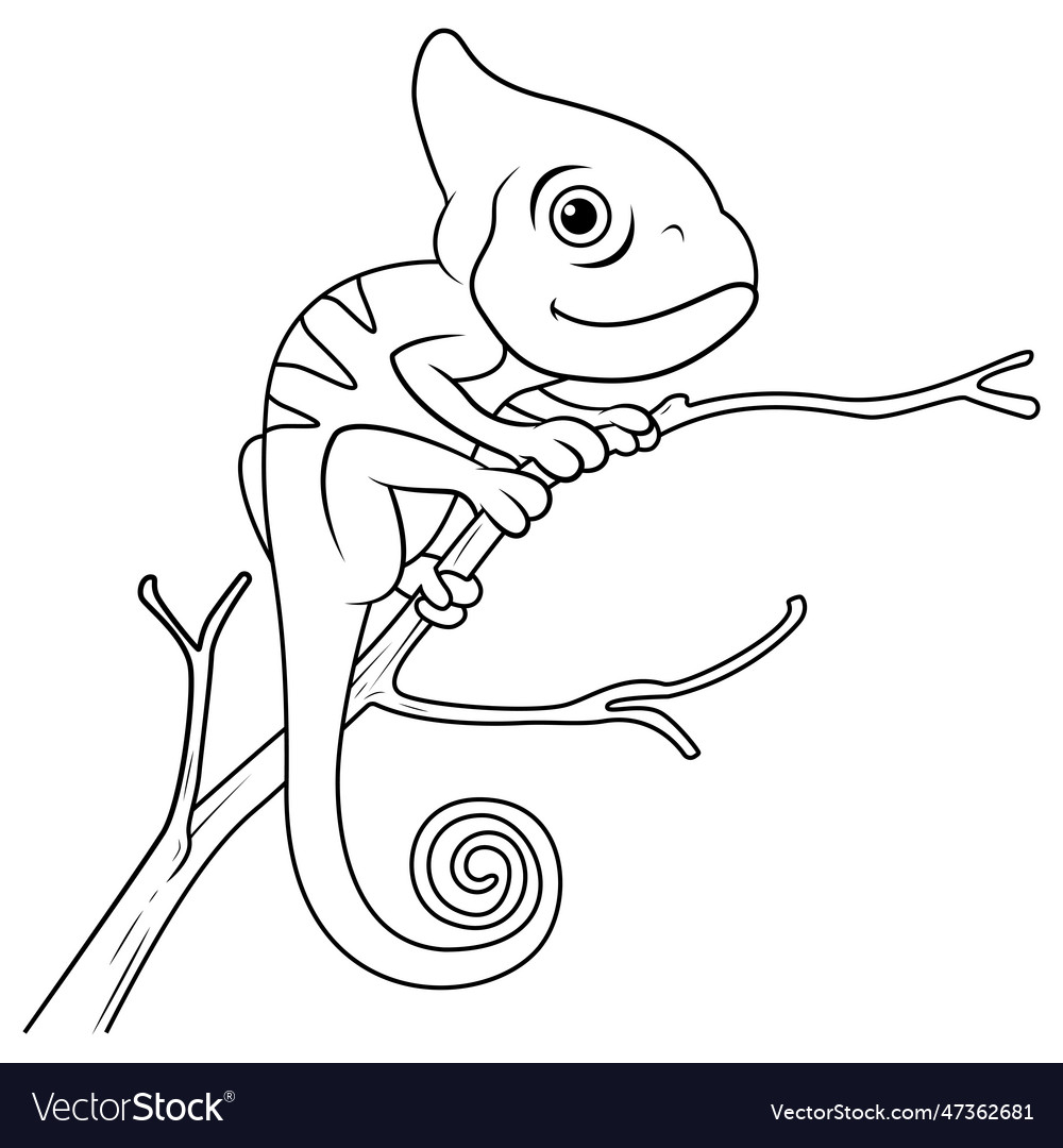 Chameleon lizard cartoon line art Royalty Free Vector Image