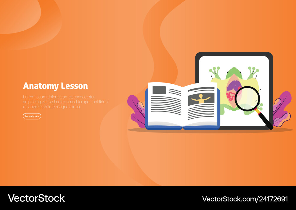 ANATOMY EDUCATIONAL VIDEOS visual data 4