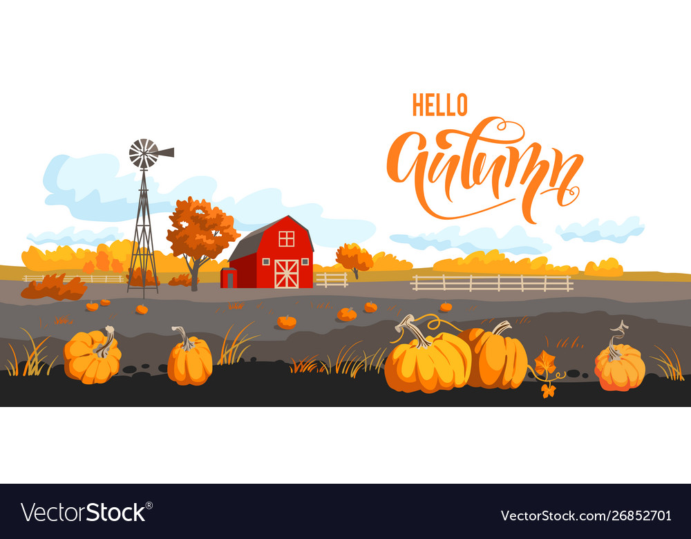 Seasonal harvest banner Royalty Free Vector Image
