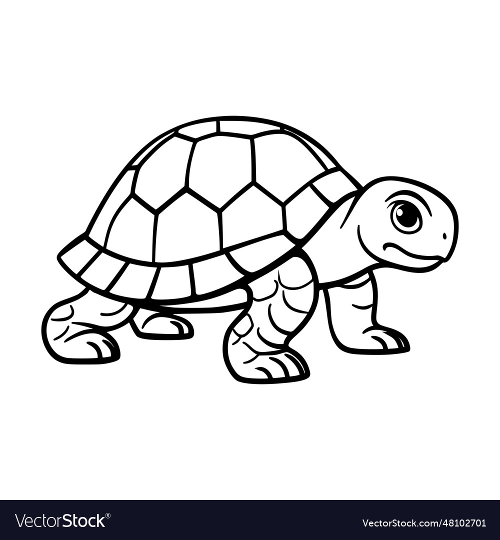 Turtle amphibian animal logo Royalty Free Vector Image