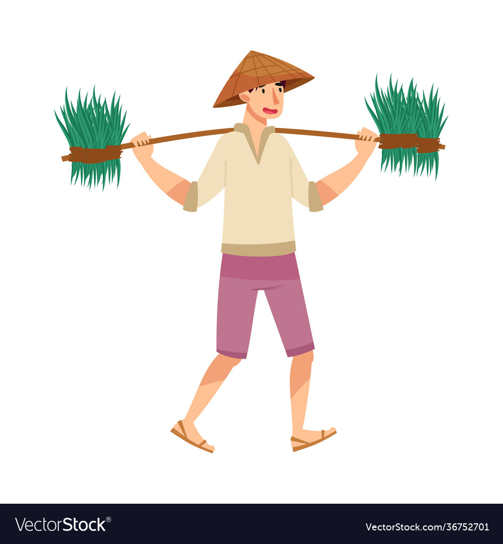 Vietnamese man farmer in straw conical hat Vector Image