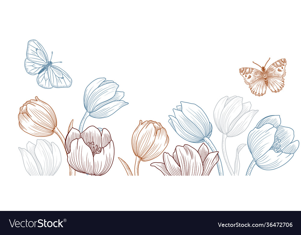 Drawing spring template with tulip flowers Vector Image