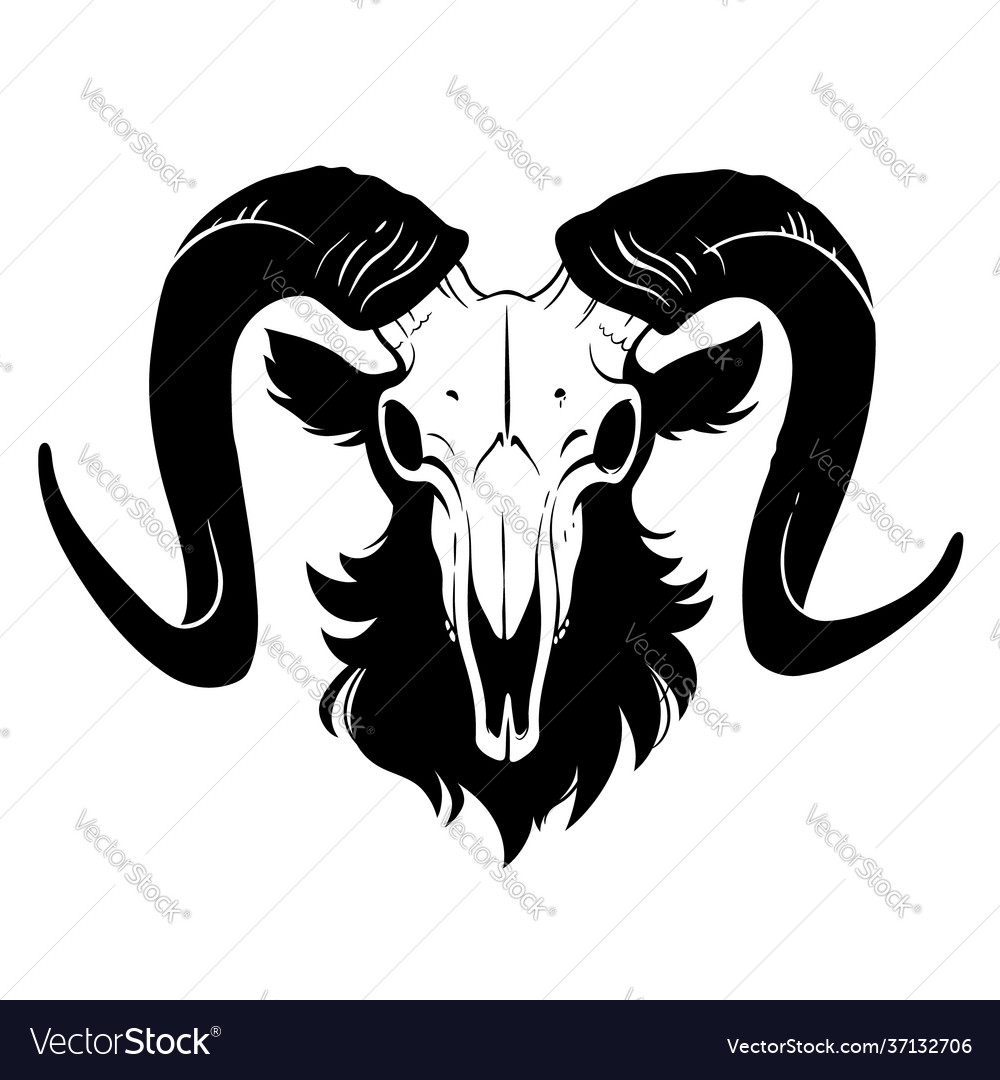 Goat skull with black horns and wool Royalty Free Vector