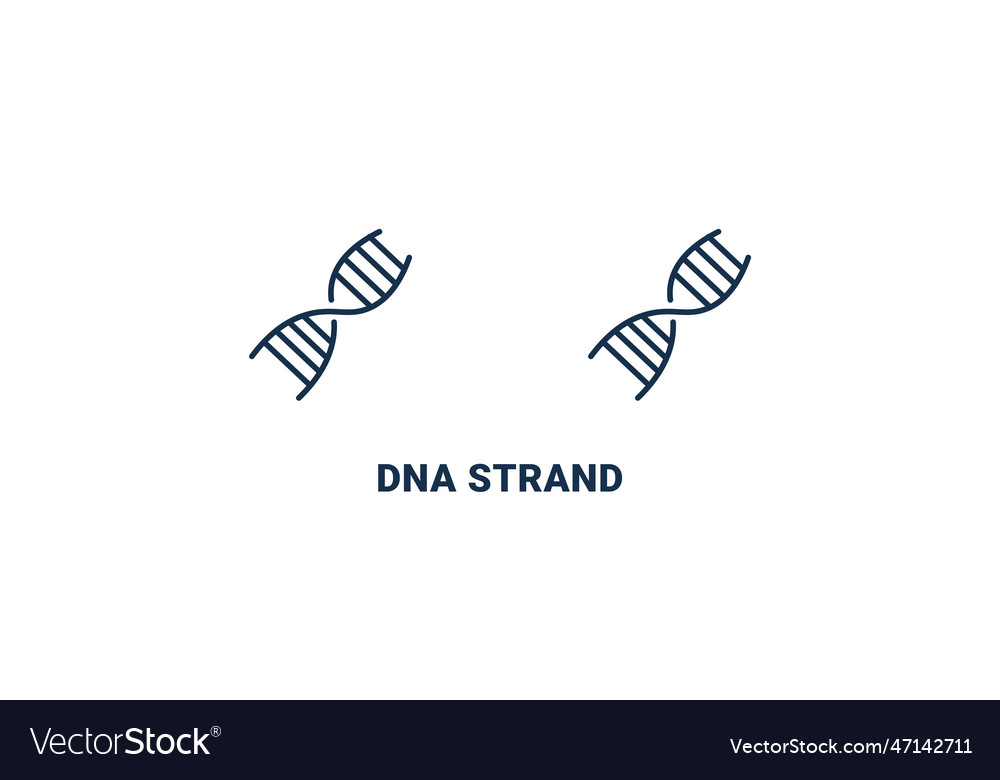 Dna strand icon outline and filled dna strand Vector Image