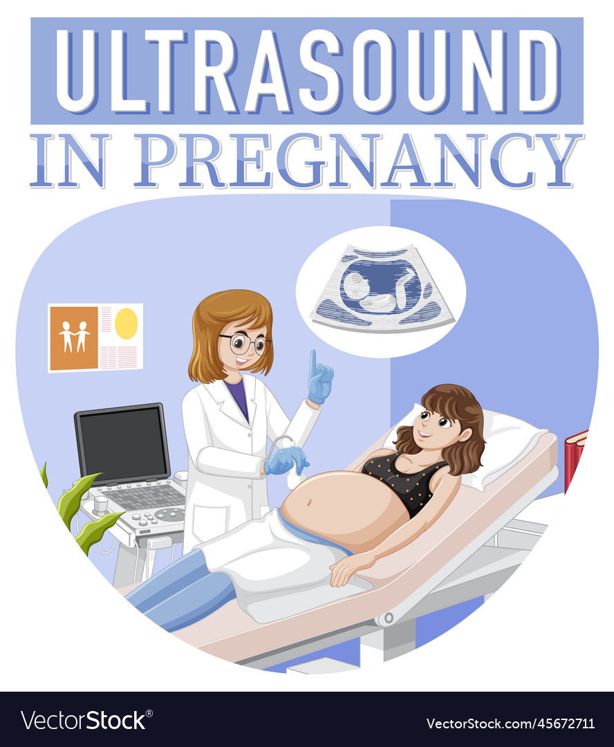 Ultrasound in pregnancy for banner or poster Vector Image