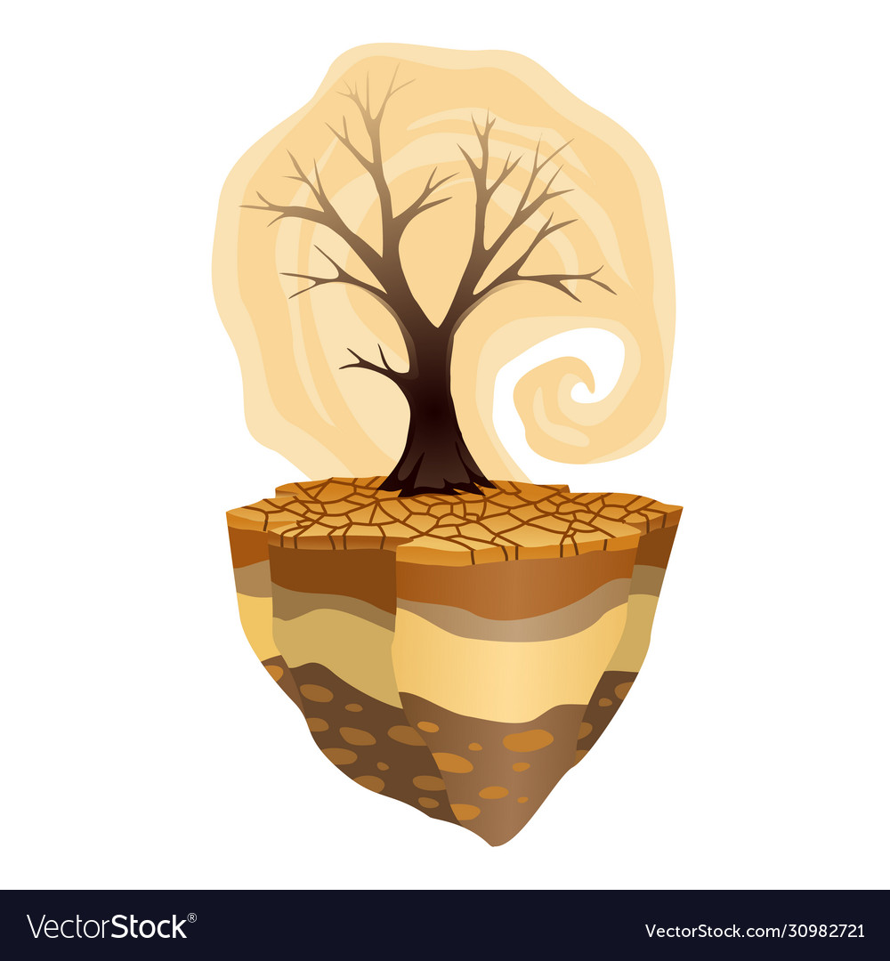 Earth global warming deforestation and drought Vector Image