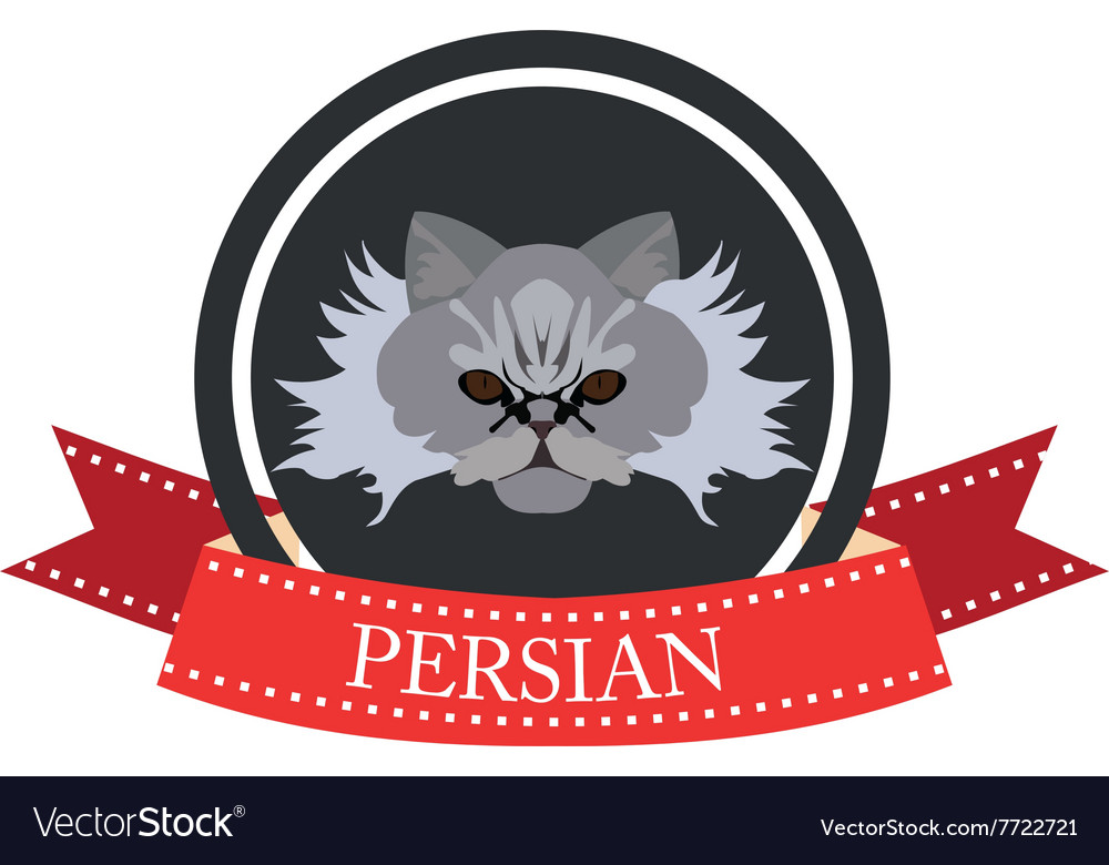 Flat icon pedigreed cat persian