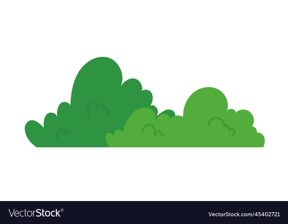 Natural green grass bushes decorate environmental Vector Image