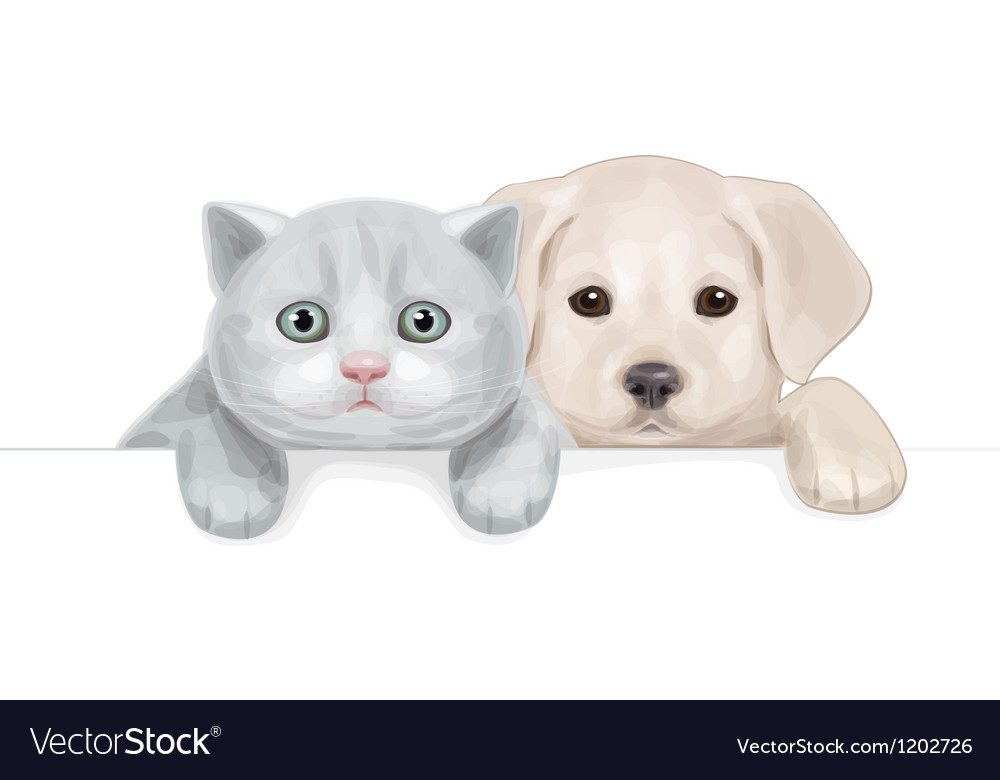 Dog and cat Royalty Free Vector Image VectorStock