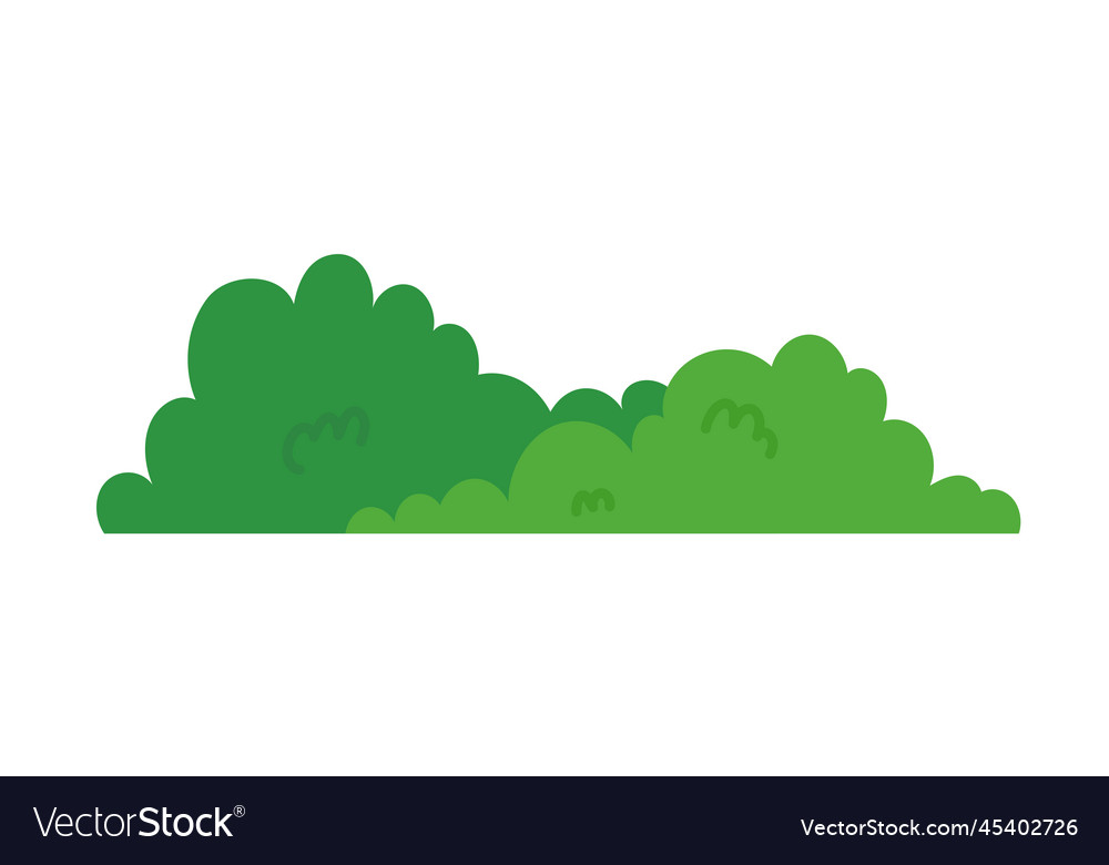 Natural green grass bushes decorate environmental Vector Image