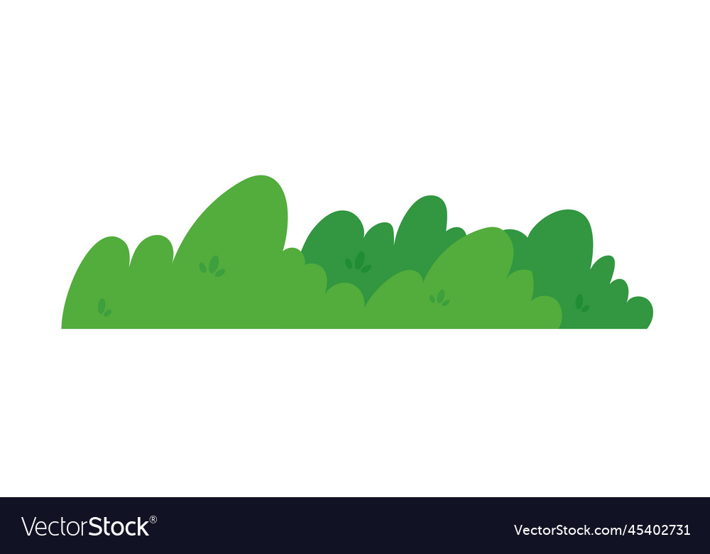 Natural green grass bushes decorate environmental Vector Image