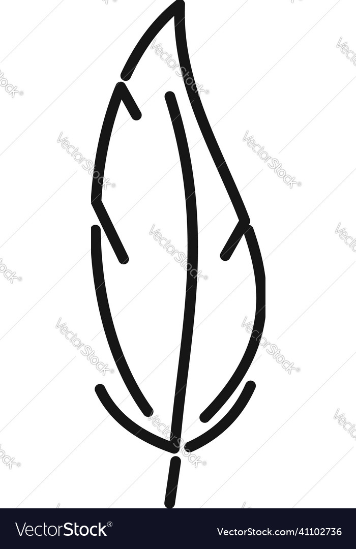 Contour feather icon outline pen bird Royalty Free Vector