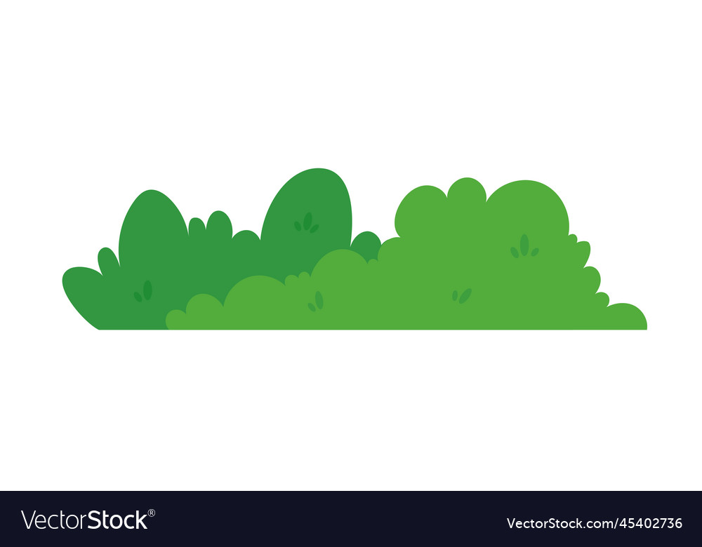 Natural green grass bushes decorate environmental Vector Image