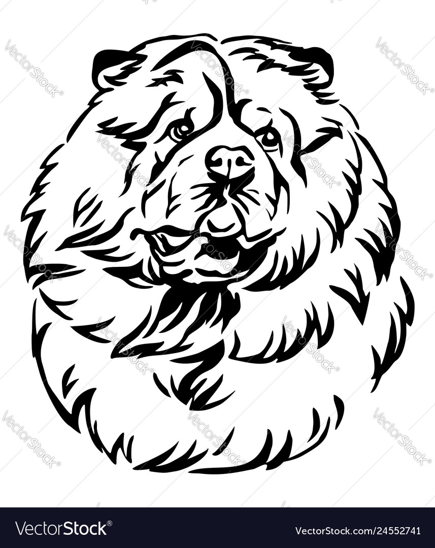 Decorative portrait of chow chow dog Royalty Free Vector