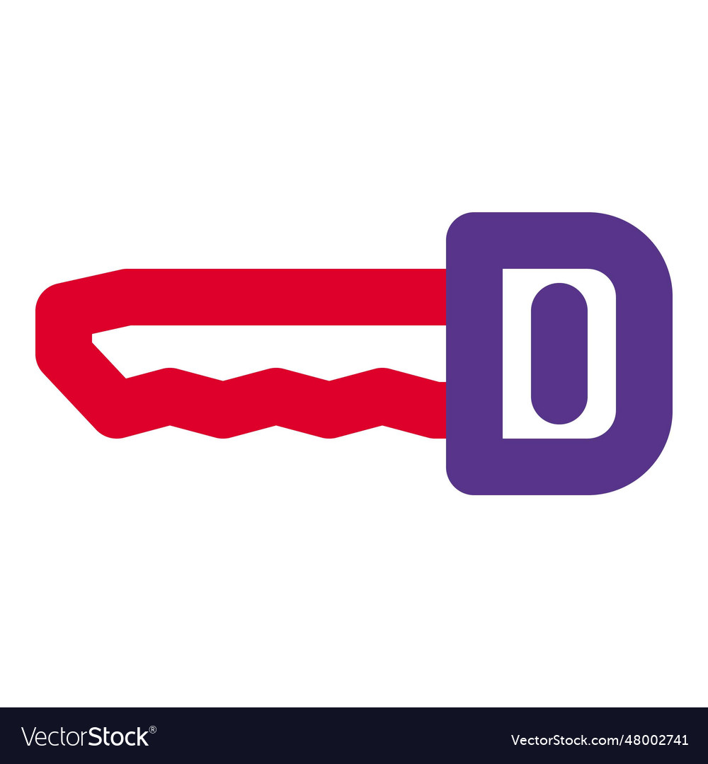 Key used to unlock software or programs Royalty Free Vector
