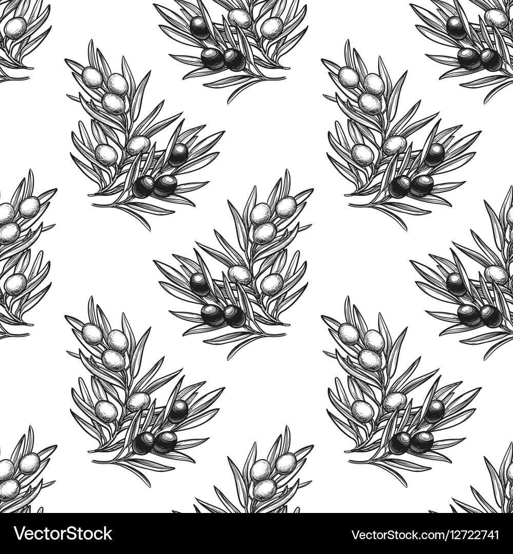 Seamless pattern with olive branch Royalty Free Vector Image