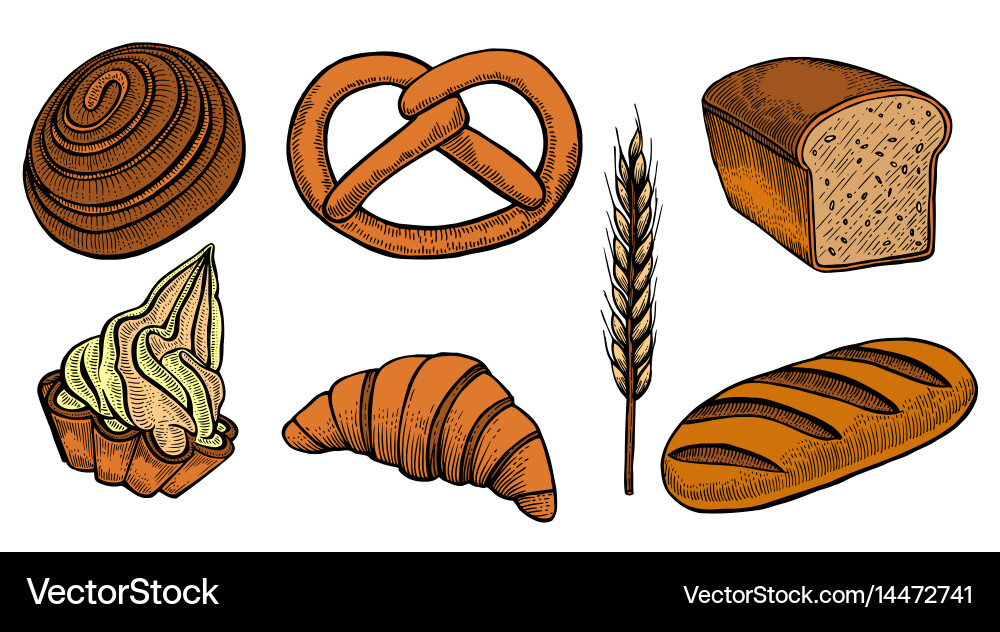 Set bread products Royalty Free Vector Image - VectorStock