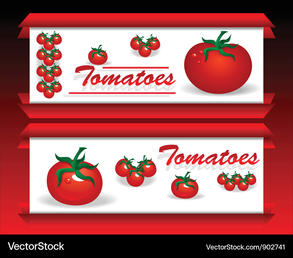 Tomatoes Royalty Free Vector Image - VectorStock