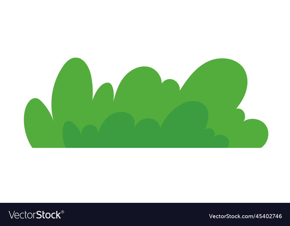 Natural green grass bushes decorate environmental Vector Image