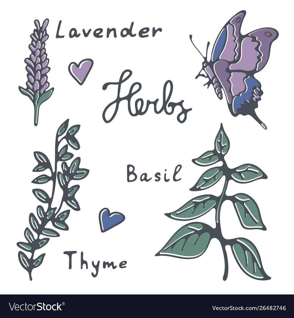 Stylish herbs collection with hand lettering