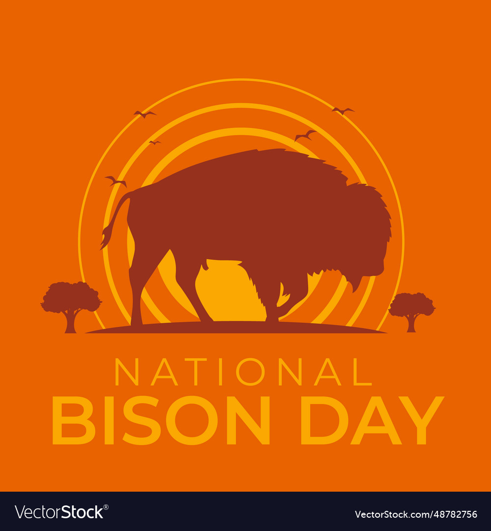 Flyers promoting national bison day or other