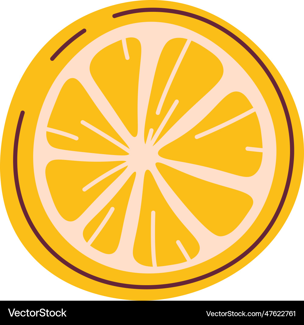 Lemon fruit slice Royalty Free Vector Image - VectorStock