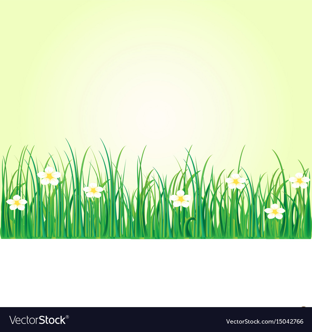 Grass nature flowers Royalty Free Vector Image