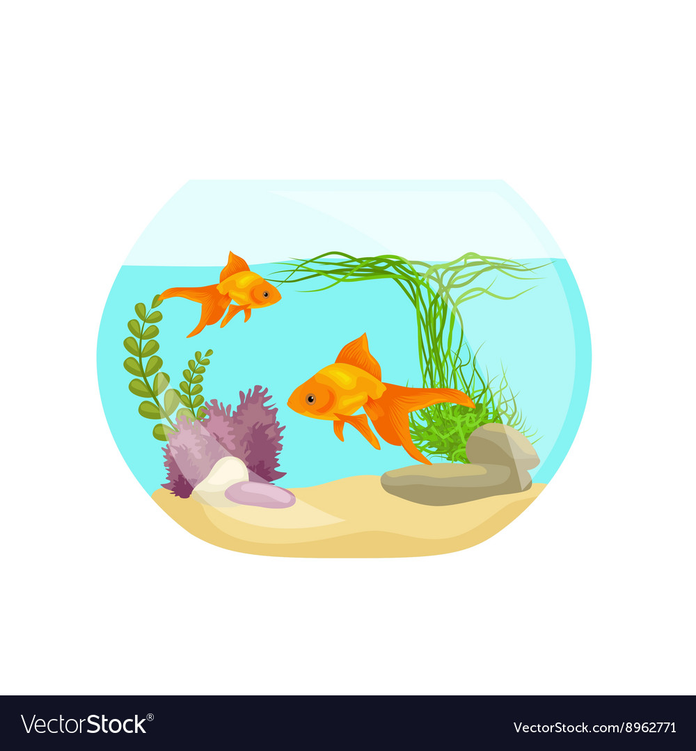 Aquarium fish seaweed underwater marine animal Vector Image