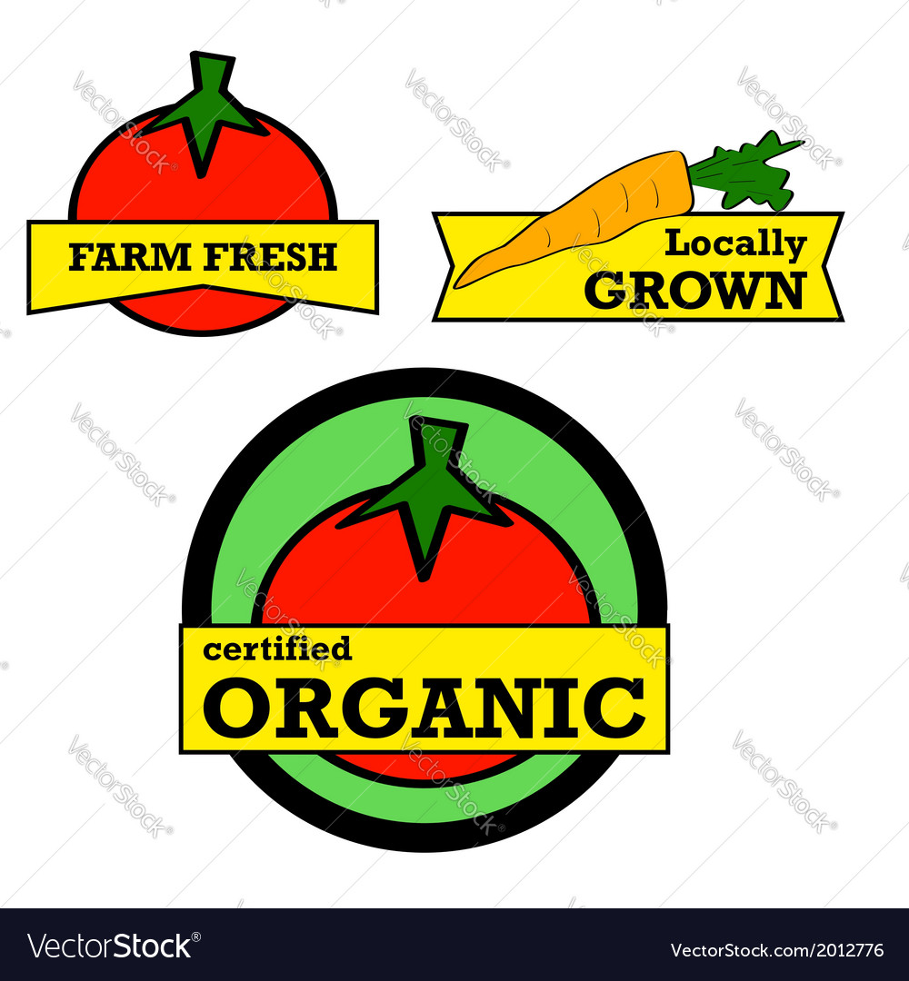 Fresh produce Royalty Free Vector Image - VectorStock