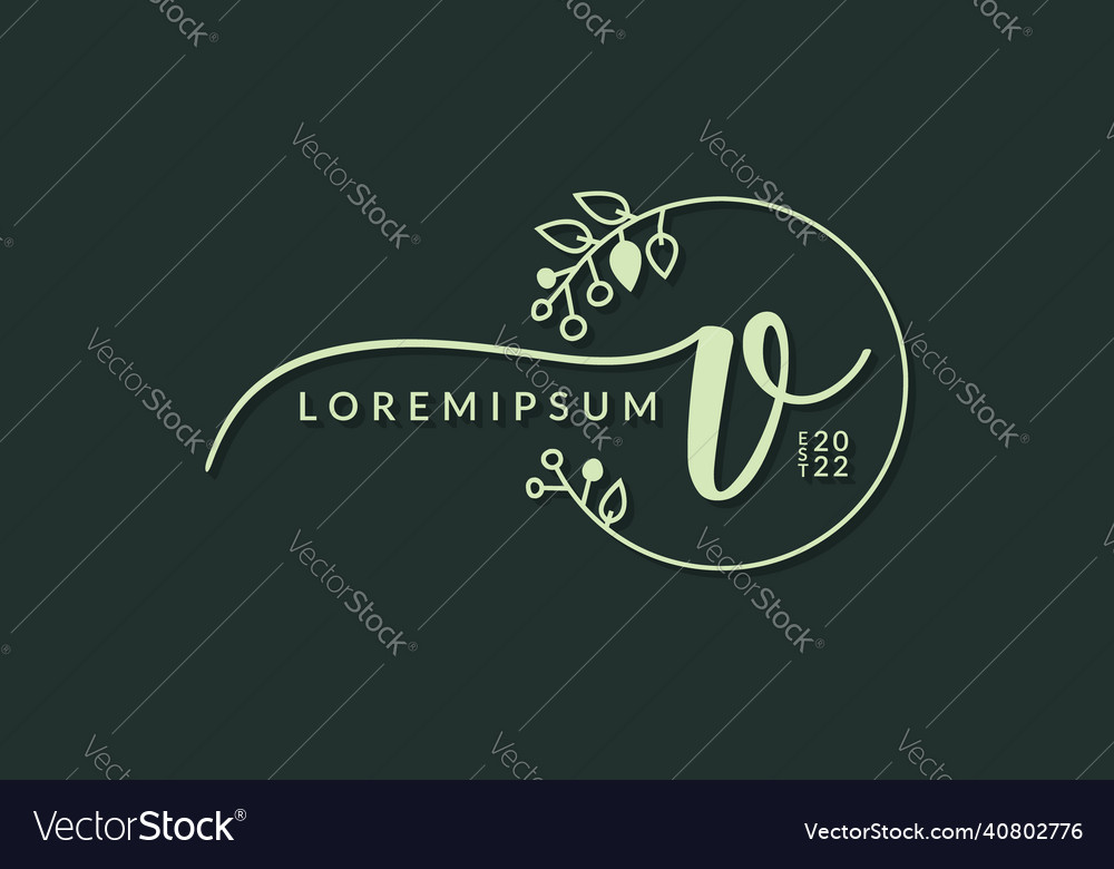 Handwritten signature monogram letter v