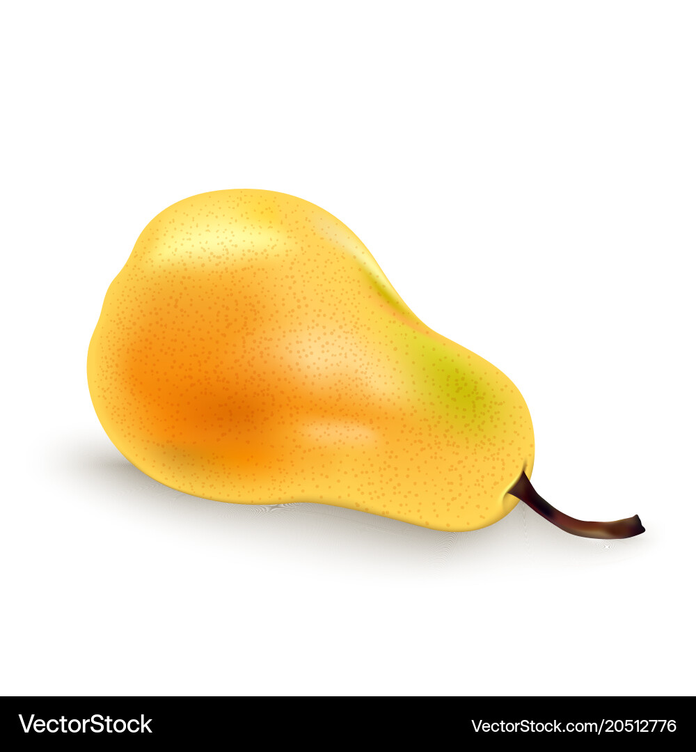 Pears path isolated Royalty Free Vector Image - VectorStock