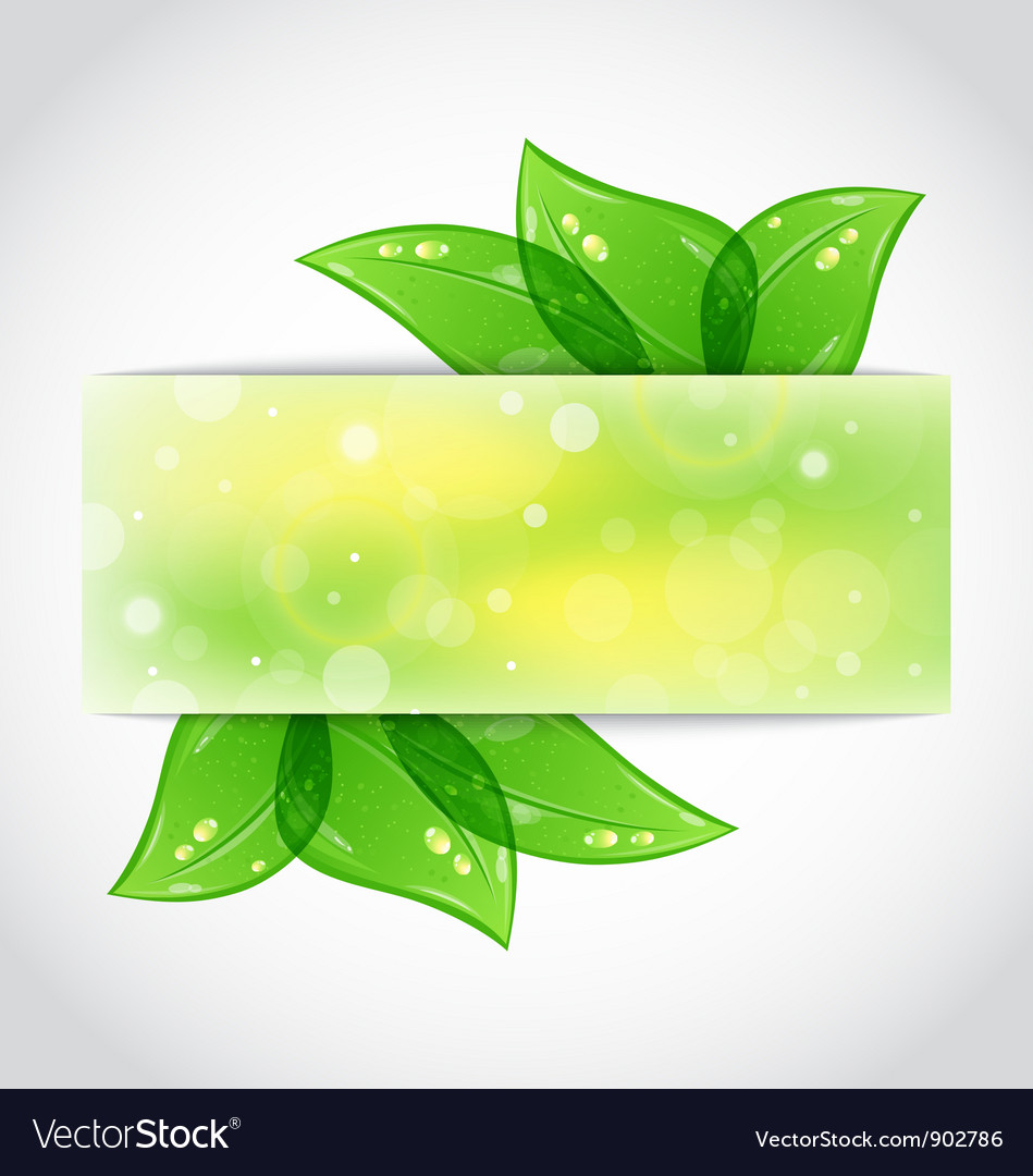 Green leaves banner Royalty Free Vector Image - VectorStock