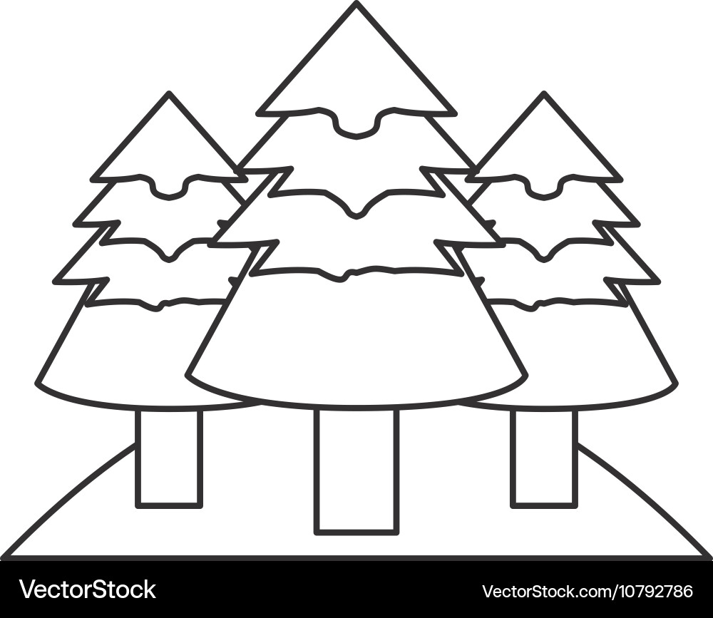 Isolated pine trees design Royalty Free Vector Image