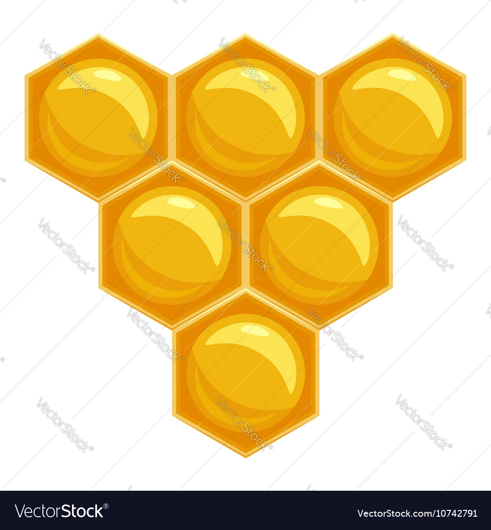 Honey comb icon cartoon style Royalty Free Vector Image