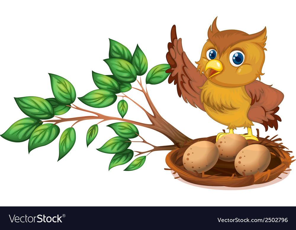 An owl watching eggs Royalty Free Vector Image