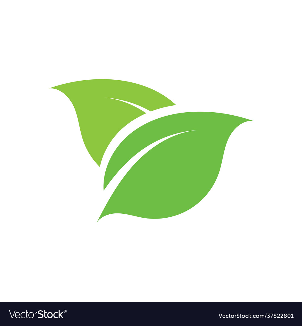 Leaf logo green ecology nature element image Vector Image