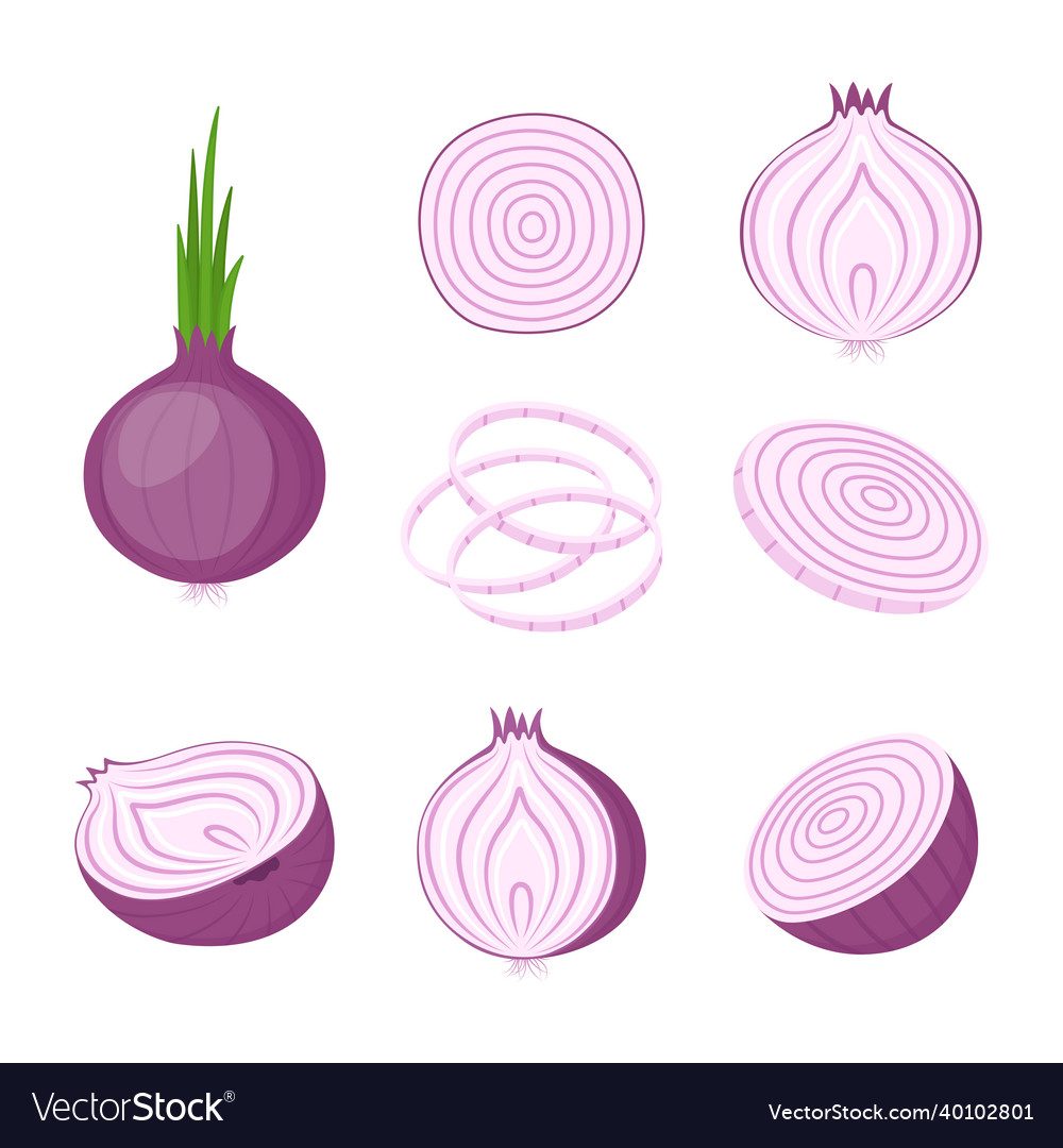 Red onion whole and cut farm vegetables Royalty Free Vector