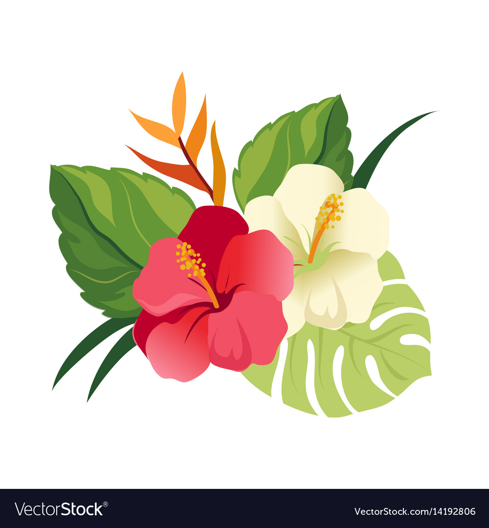 Beautiful Hibiscus Flowers And Palm Leaves Vector Image 2014