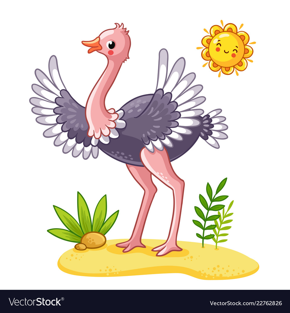 Cute ostrich stands on meadow Royalty Free Vector Image