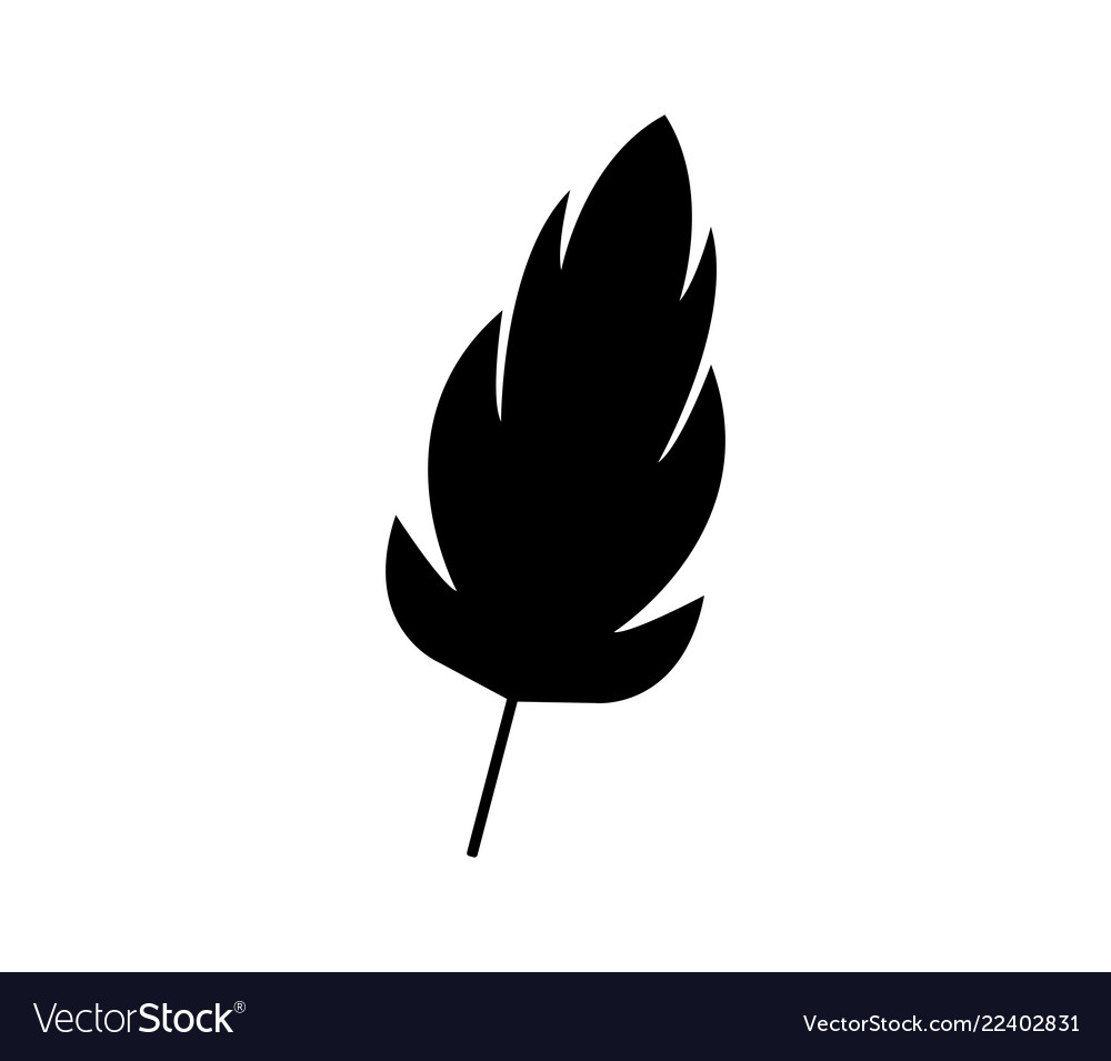 Feather icon