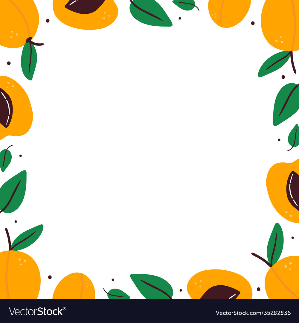 Frame card template with apricot fruits Royalty Free Vector