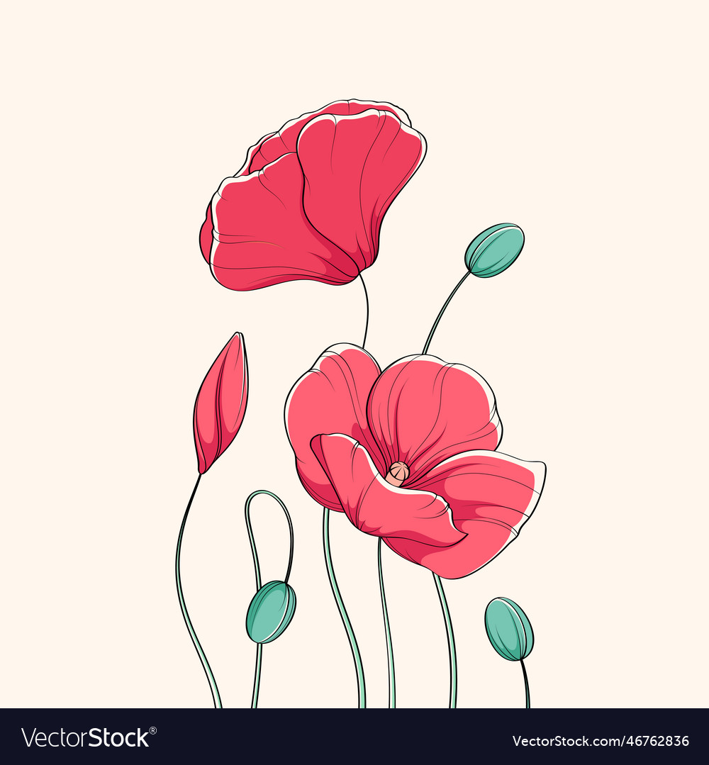 Poppies Royalty Free Vector Image - VectorStock