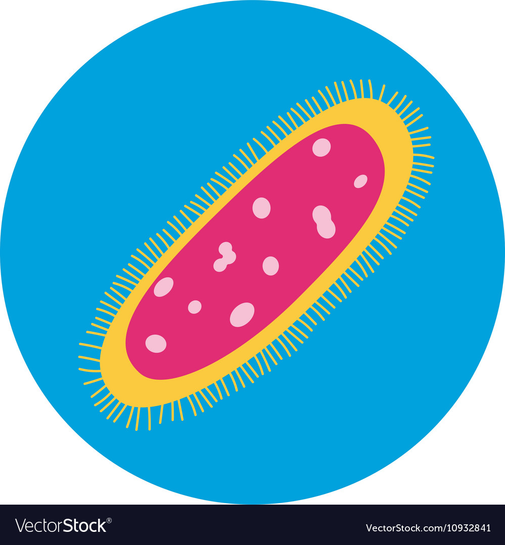 Bacteria Virus Icon Royalty Free Vector Image - VectorStock