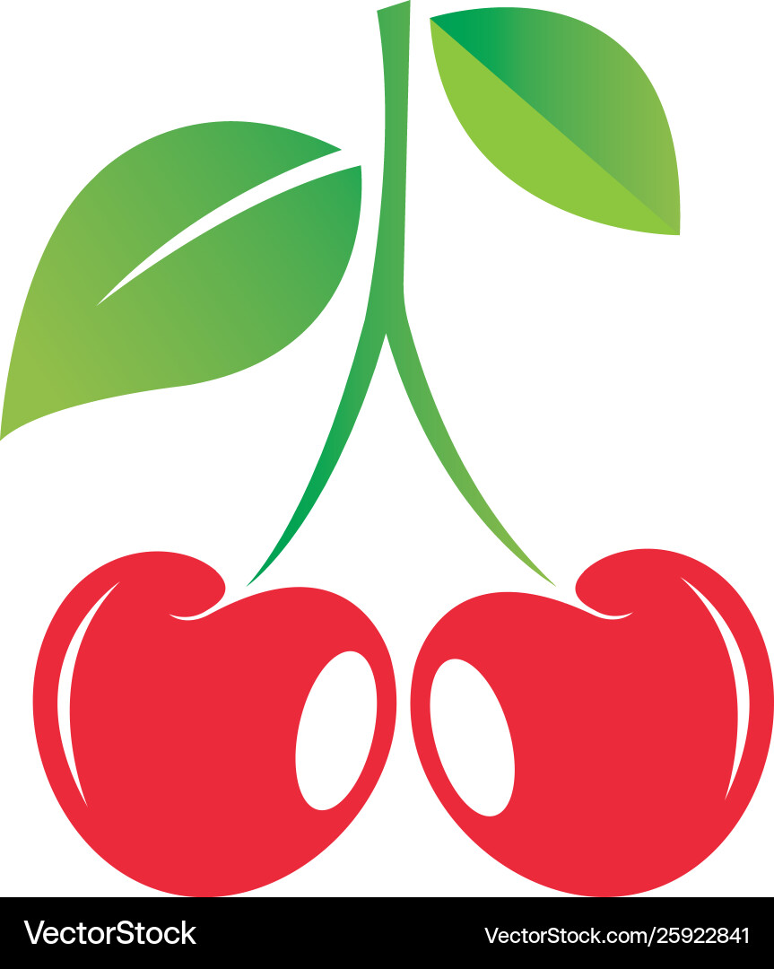 Cherry fruit icon template Royalty Free Vector Image