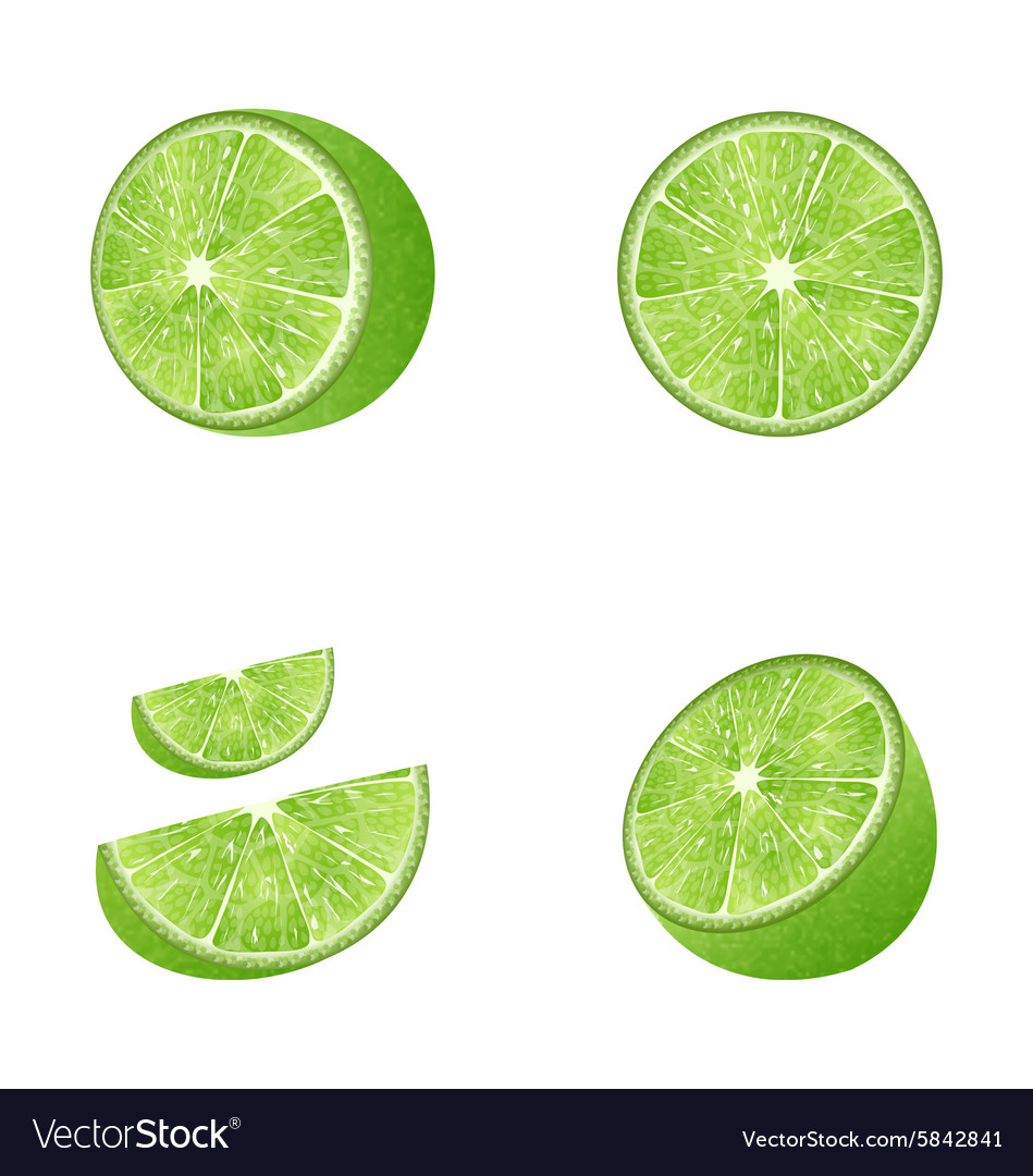 Set fruit lime Royalty Free Vector Image - VectorStock